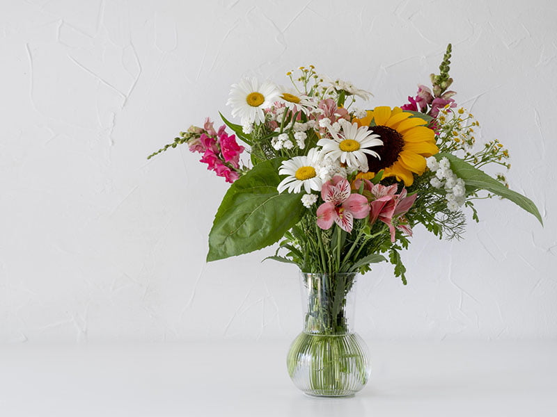 How to keep your flower fresh? 33 how to keep your flowers fresh