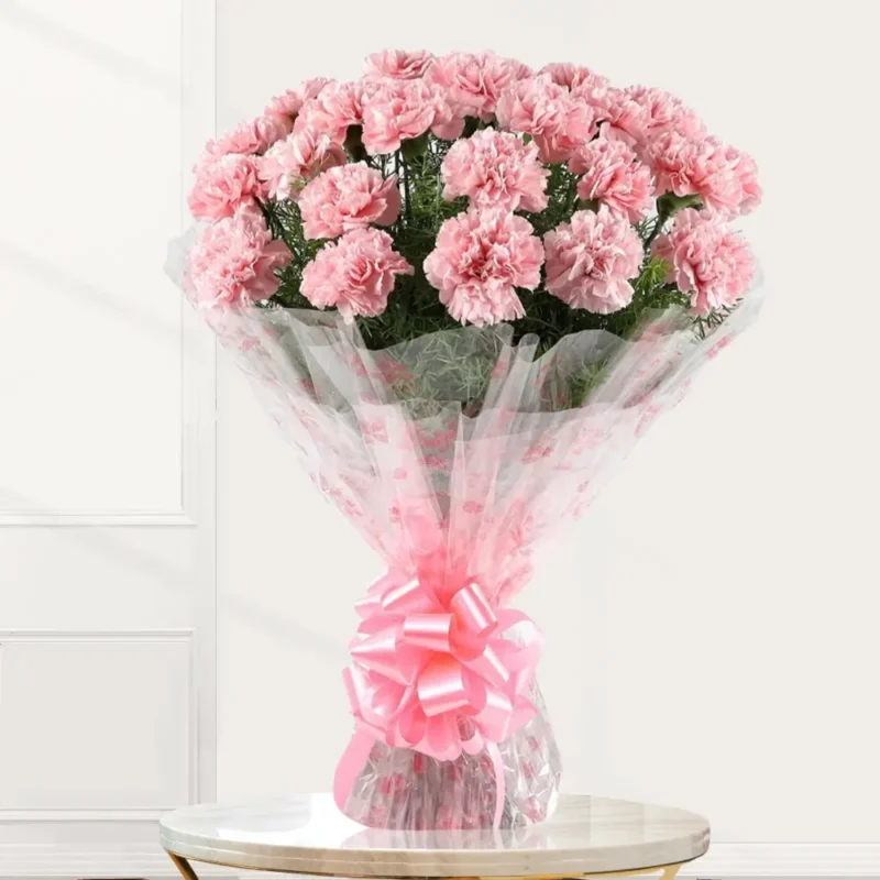 Carnations: Affection and Admiration