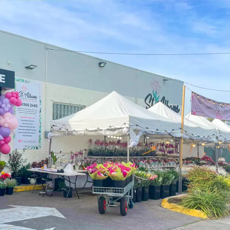 Mother's Day St Albans Flower Market Event
