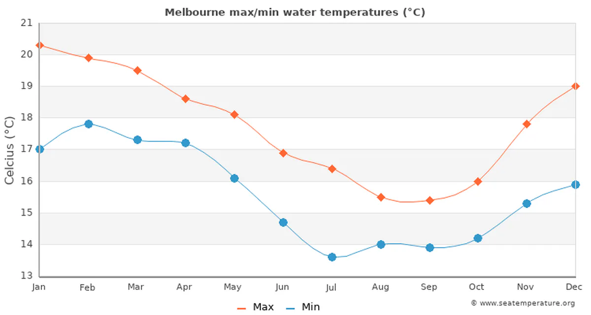 Top 10 Long-Lasting Cut Flowers for Melbourne Homes 3 Average Temperature In Melbourne