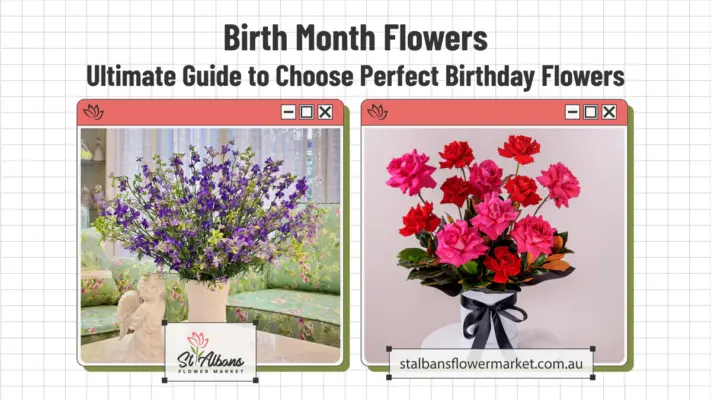 Birth Month Flowers, Ultimate Guide to Choose Perfect Birthday Flowers