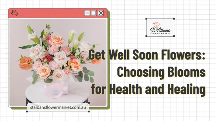 Get Well Soon Flowers: Choosing Blooms for Health and Healing