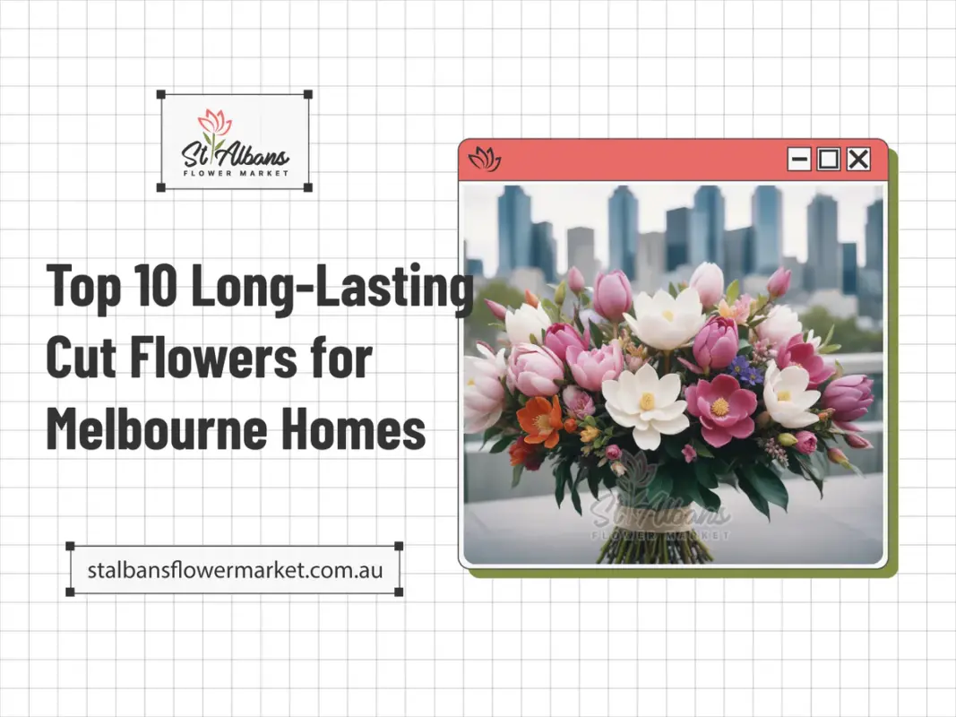 Top 10 Long-Lasting Cut Flowers for Melbourne Homes
