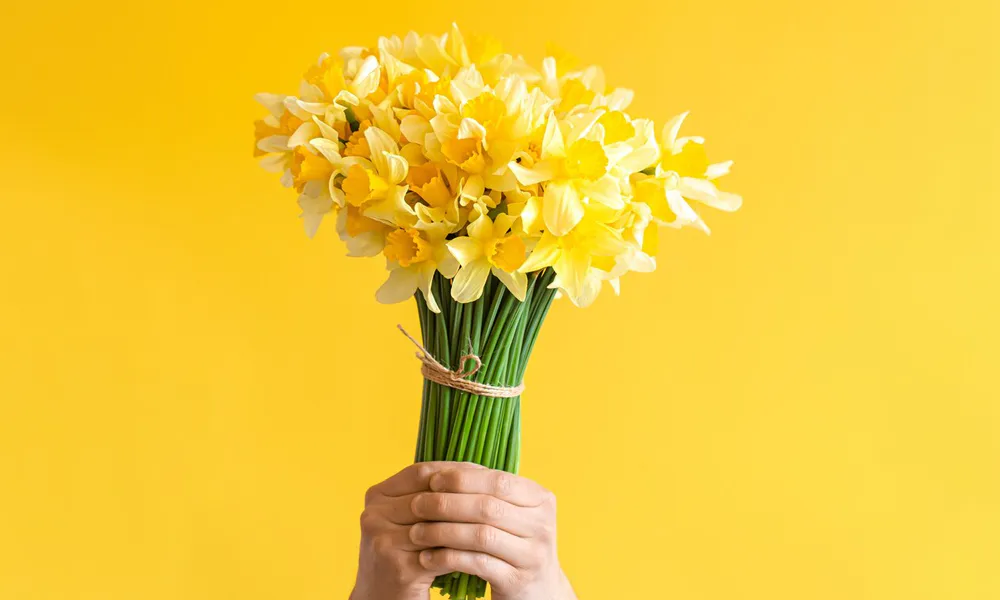 Wedding Anniversary Flowers: The Perfect Blooms for Each Year 19 10th Anniversary: Daffodils