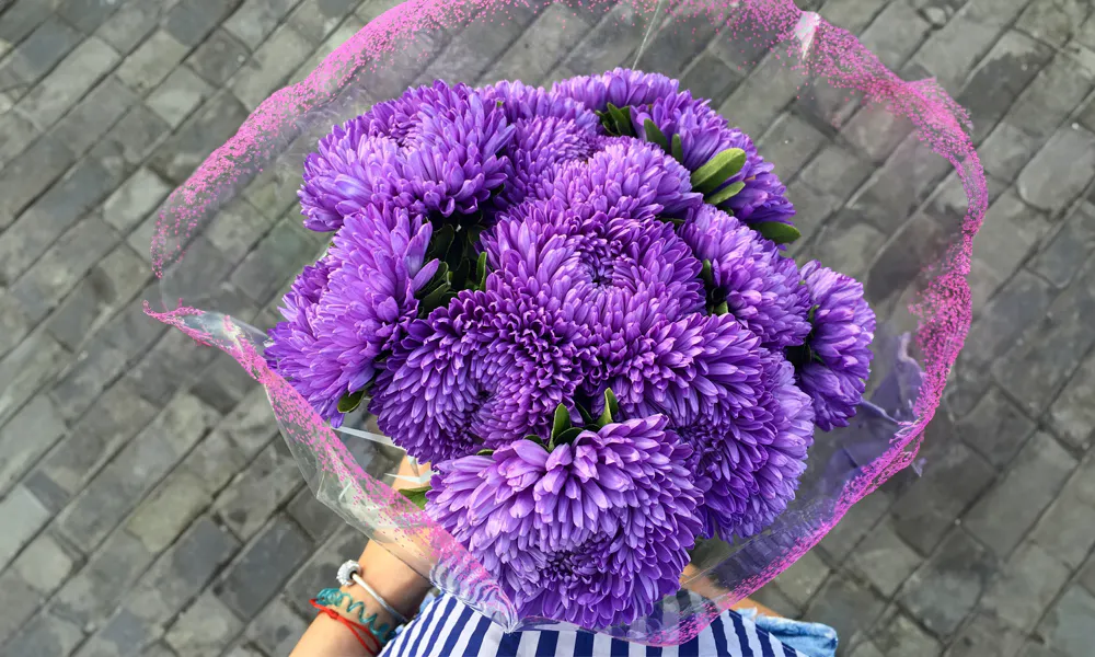 Wedding Anniversary Flowers: The Perfect Blooms for Each Year 21 20th Anniversary: Asters