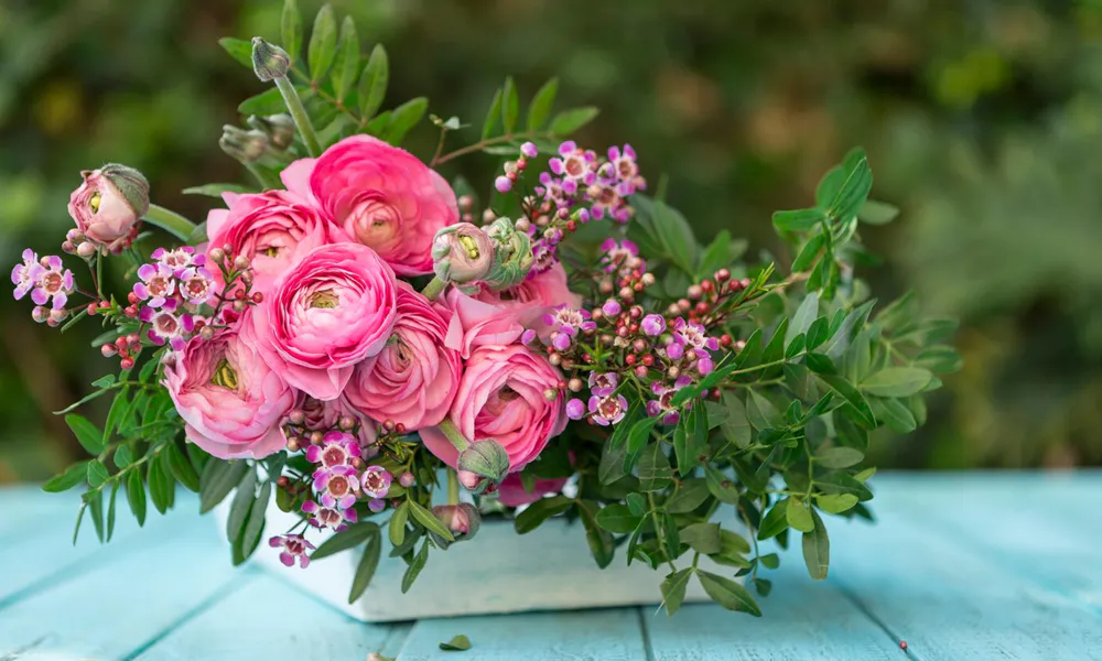 Wedding Anniversary Flowers: The Perfect Blooms for Each Year 17 4th Anniversary: Geraniums